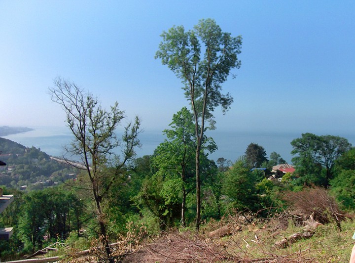 Продам земельный участок в Сочи, Хоста, Центр, 9,25 соток