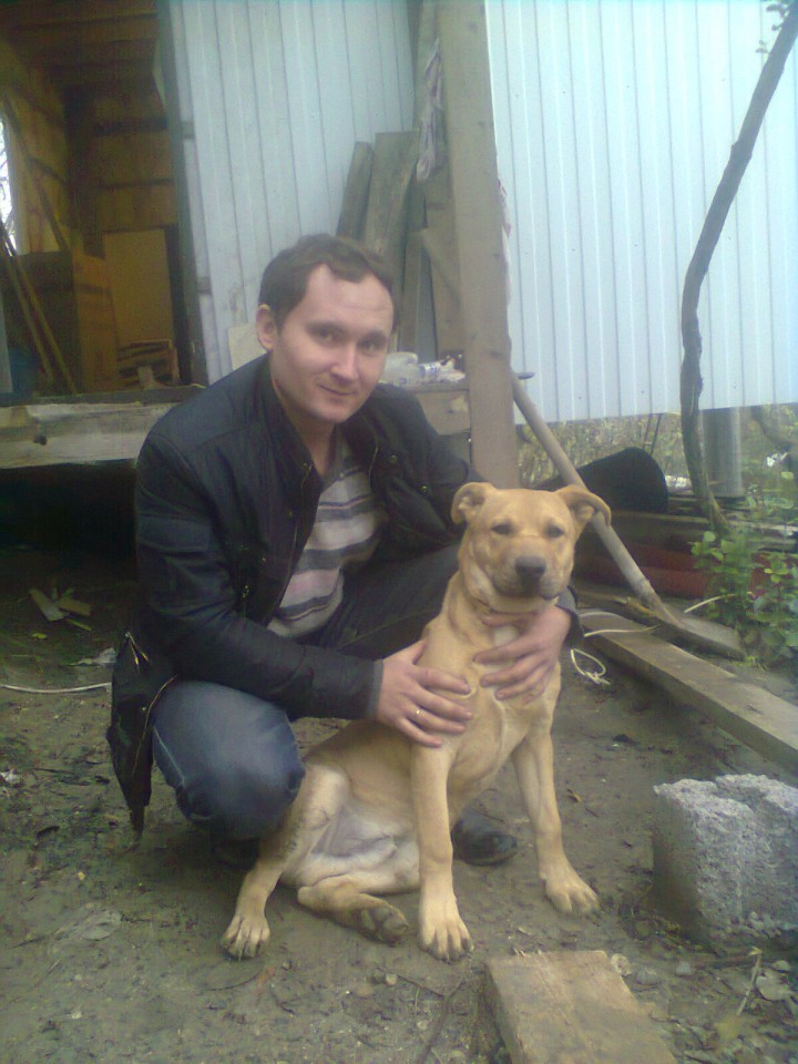 Пропала собака