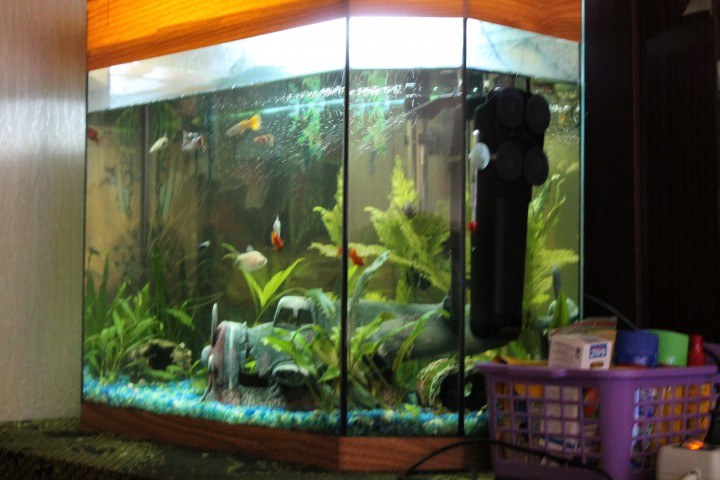 Продается аквариум