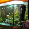 Продается аквариум