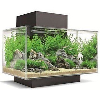 Приму в дар аквариум