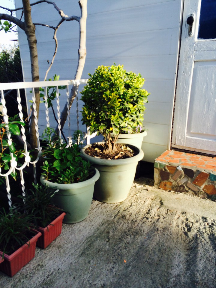 Требуется сиделка с проживанием