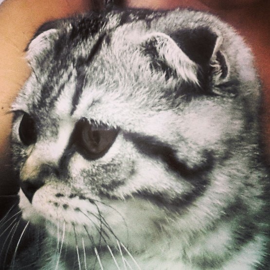 ПОТЕРЯЛСЯ!!!!!!