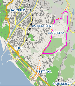 Сдается 1-комнатная квартира, в новом частном доме, Соболевка, у