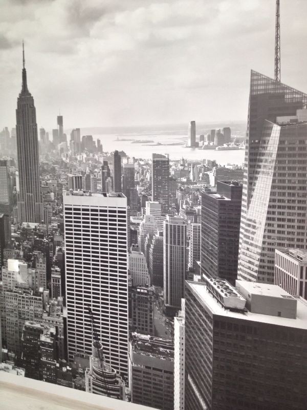 Сдается студия в новом клубном доме, завокзальный м/н, Альпийска