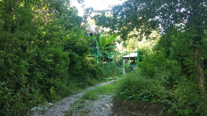 Участок ЛПХ 434 кв.м Лоо