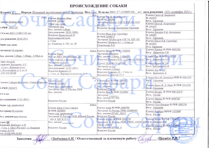 Продаю дратхаара 2.09.2013г.р.