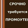 Требуется промоутер