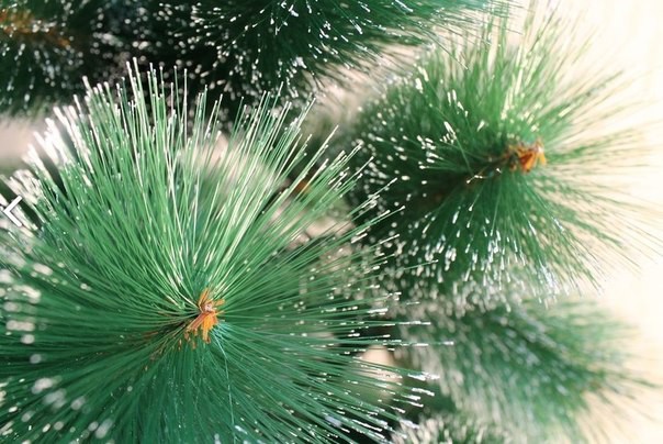 Искусственные ёлки с бесплатной доставкой по Сочи