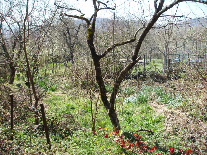 Участок 6.6 сот. (СНТ, ДНП)