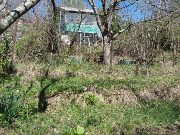 Участок 6.6 сот. (СНТ, ДНП)