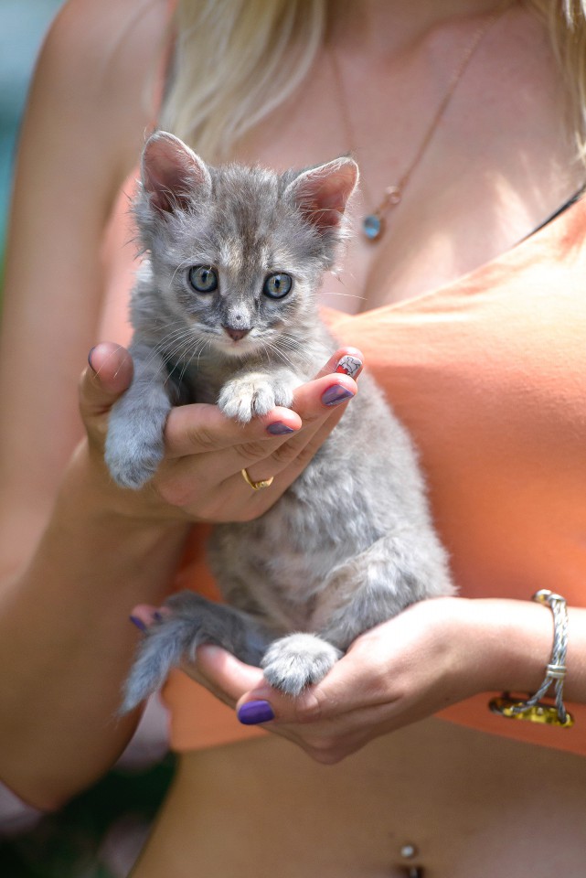 ОТДАМ В ДОБРЫЕ РУКИ 