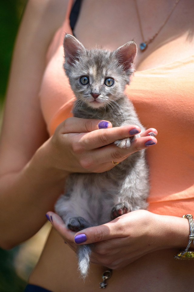 ОТДАМ В ДОБРЫЕ РУКИ 