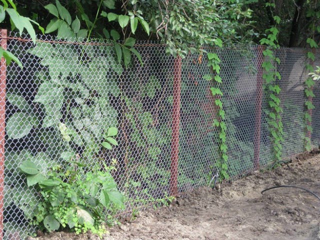 Заборы из профнастила, сетки рабица, решетчатые. Краснодар.