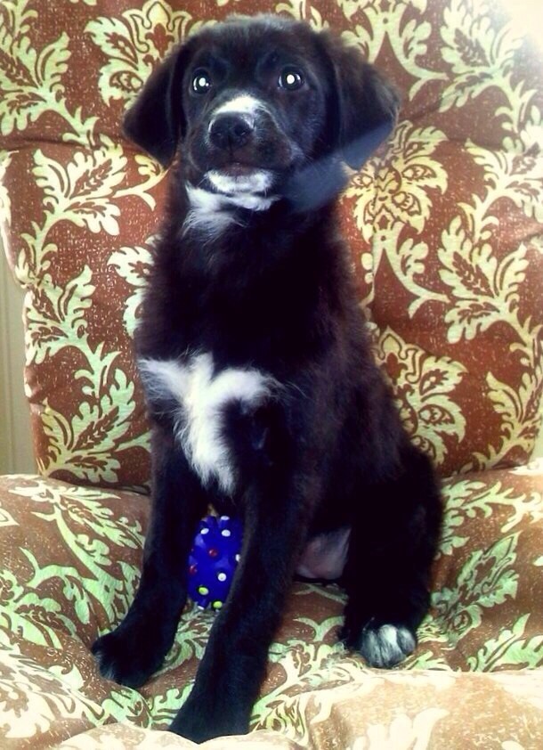 Элегантная и безумно красивая Августа