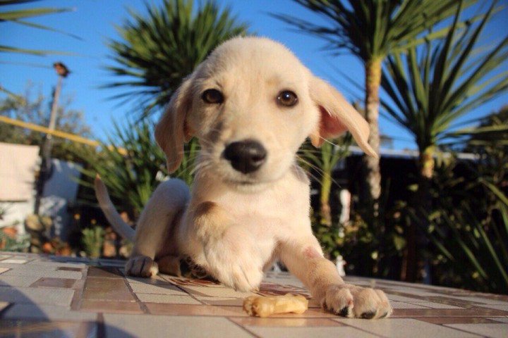 Милая активушечка Аврора