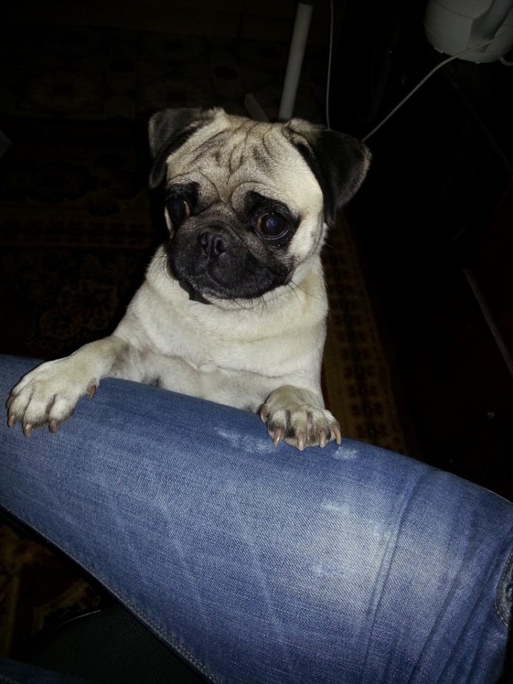 Помогите найти!(((