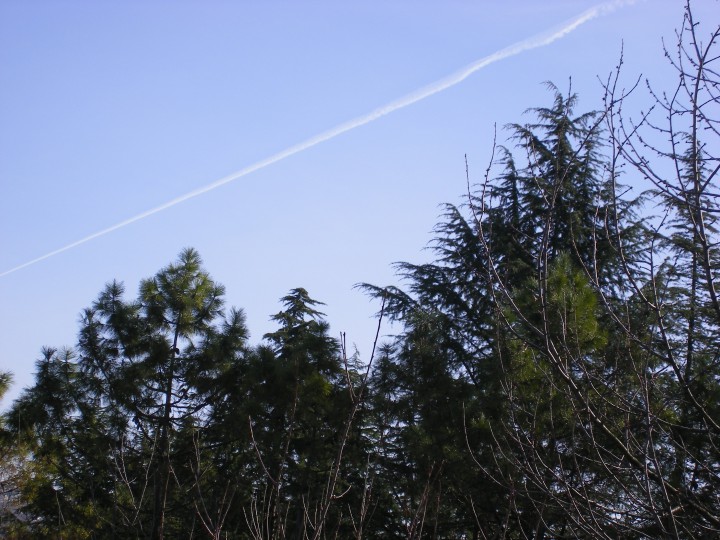 жилой гараж в Дагомысе