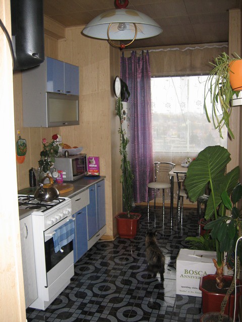 Продам 2-х комнатную на ул.Абрикосовая