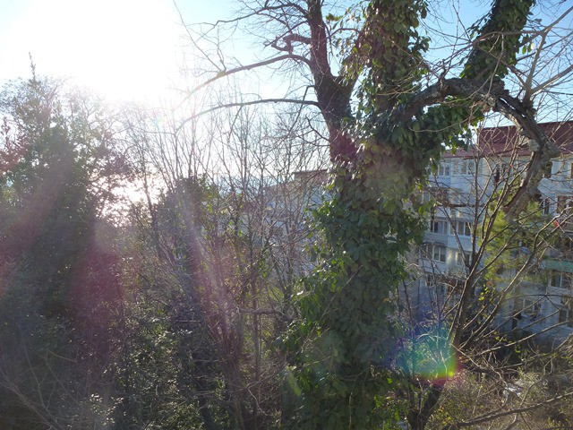 Продам жилой гараж 50 м2 на Курортном проспекте