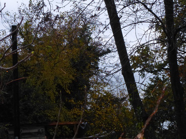 Продам двухкомнатную в Приморье