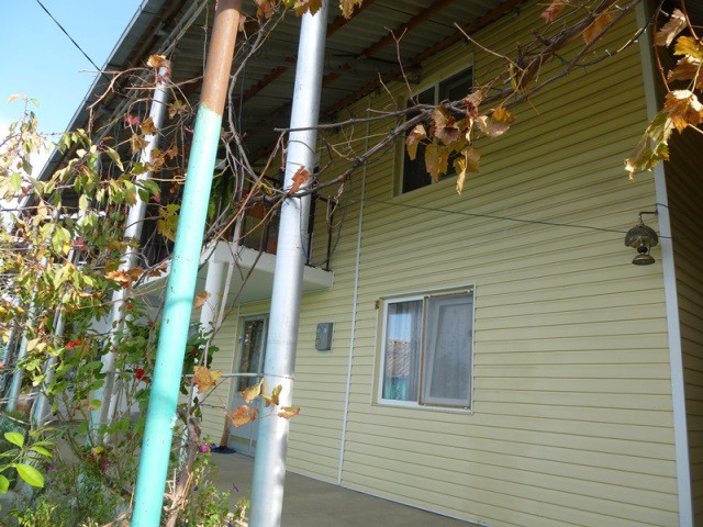 Продам дом в Адлере 80 м2 с фруктовым садом