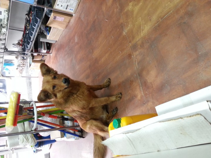 Ищу друга на всю жизнь