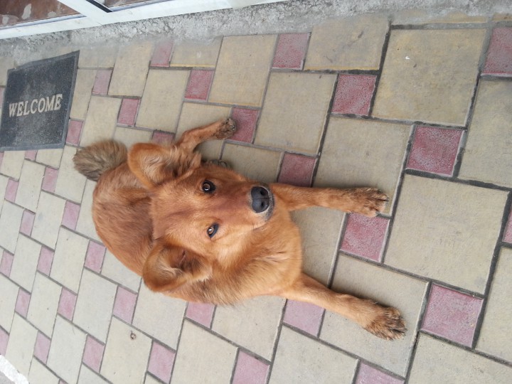 Ищу друга на всю жизнь