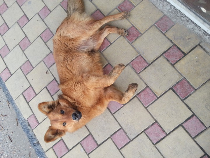 Ищу друга на всю жизнь