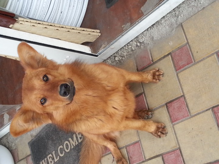 Ищу друга на всю жизнь