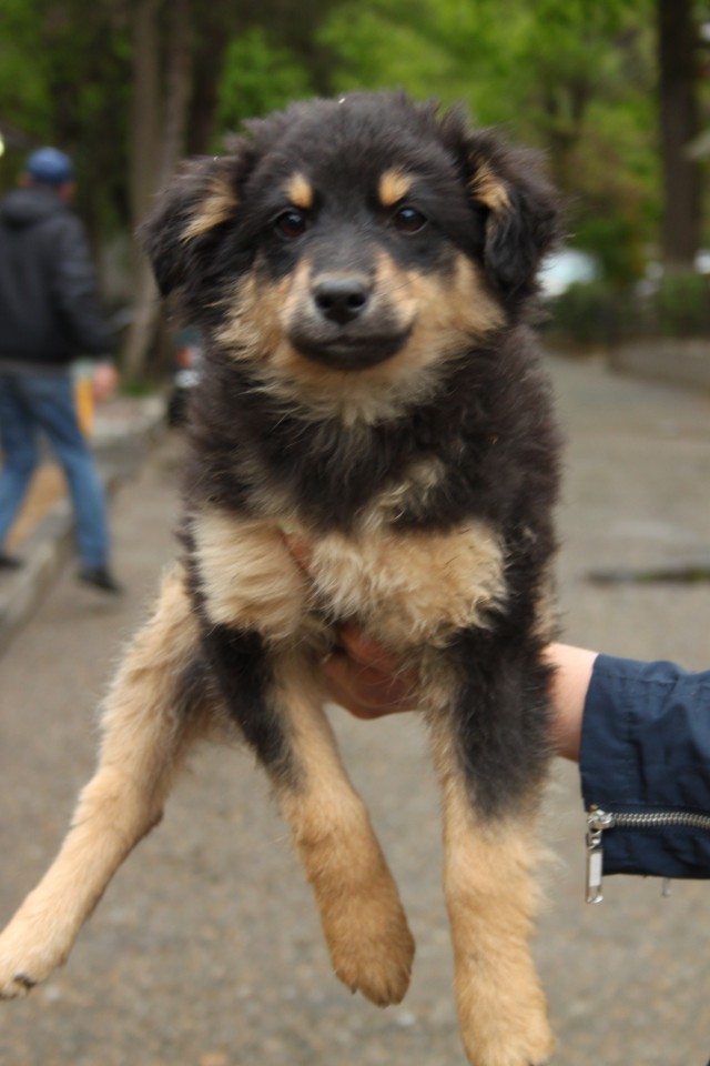 ПОМОГИТЕ!!!!!!!!!!!!!!!!!!!!