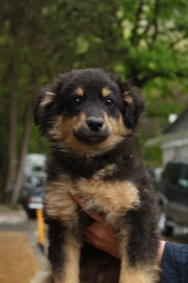 ПОМОГИТЕ!!!!!!!!!!!!!!!!!!!!