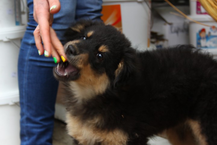 ПОМОГИТЕ!!!!!!!!!!!!!!!!!!!!