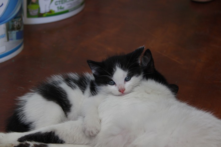 Возьми меня домой!!!!!!!!