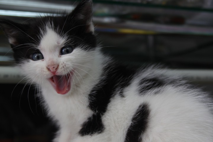 Возьми меня домой!!!!!!!!