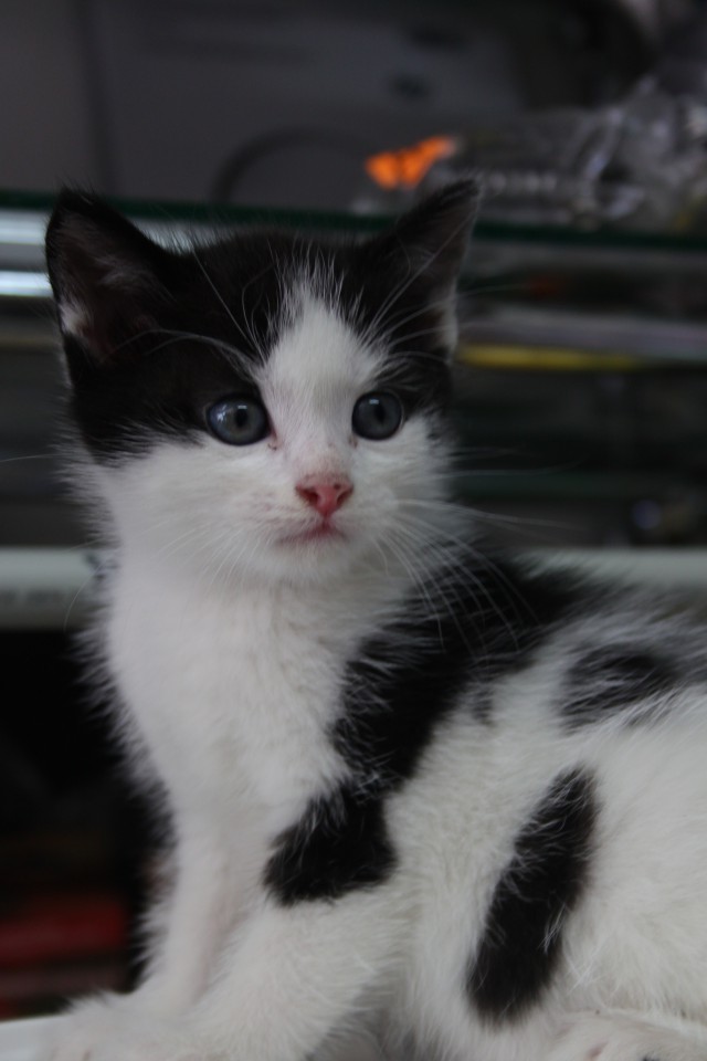 Возьми меня домой!!!!!!!!