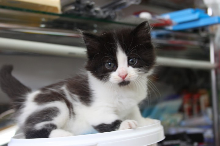 Возьми меня домой!!!!!!!!