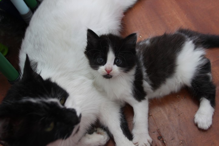 Возьми меня домой!!!!!!!!