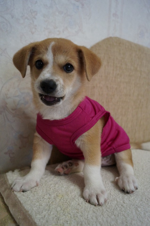 Девочка ищет семью