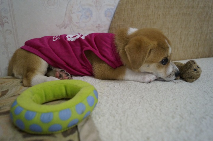 Девочка ищет семью