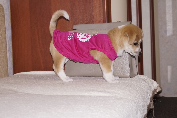 Девочка ищет семью