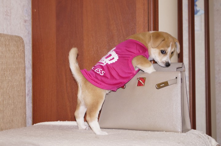 Девочка ищет семью