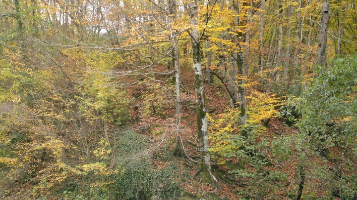 МЕСТО ПОД ГАРАЖ