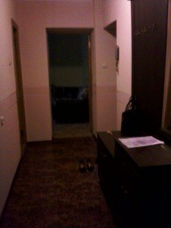 Сдаётся 2-х комнатная квартира в Адлере (начало Чайсовхоза). Дли