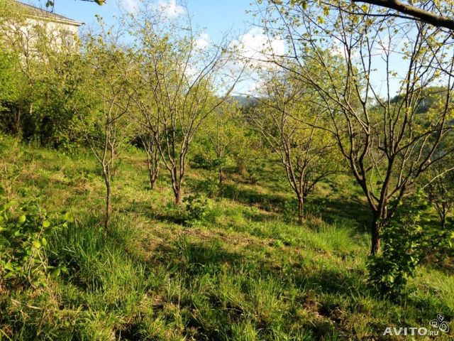 Участок на Мацесте