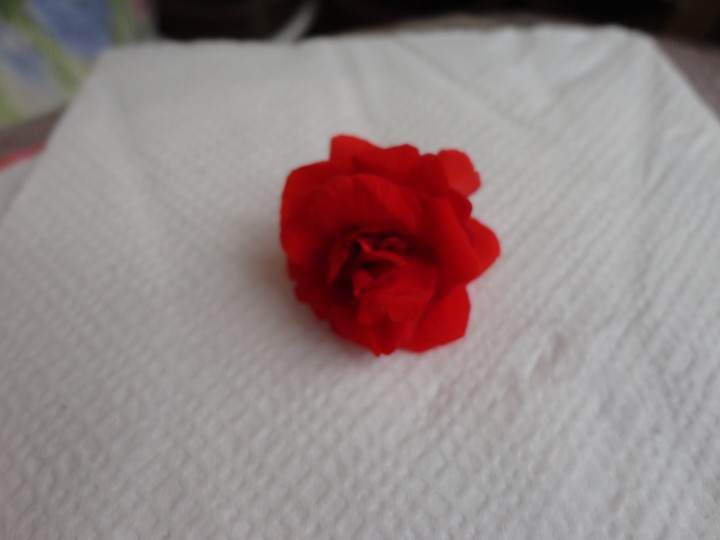 Продам растения