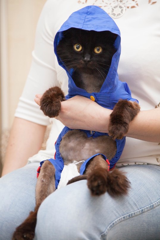 Матвей ищет дом!