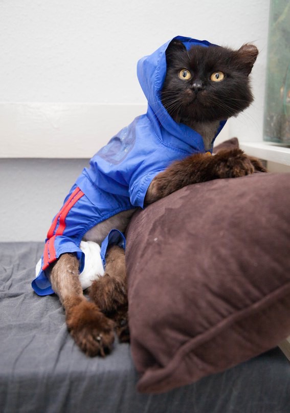 Матвей ищет дом!