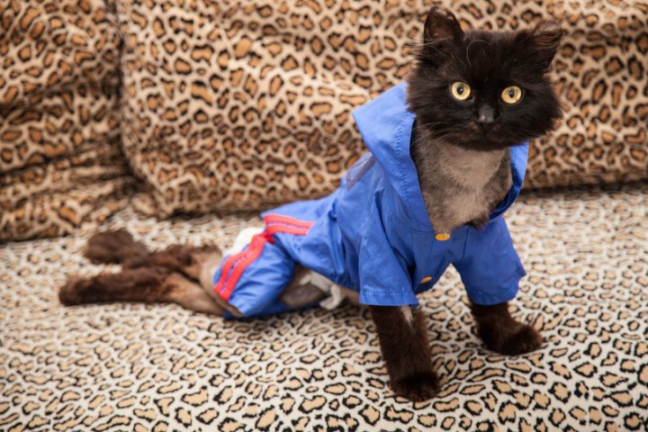 Матвей ищет дом!