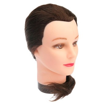 Голову-манекен приму в дар или куплю недорого.